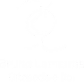 Bruno Lameiras, Ortopedia